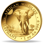 1 Unze Gold Somalia - Elefant - African Wildlife - 2025...
