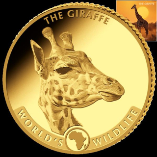1/10 Oz Gold Kongo 2024 - Giraffe - Worlds Wildlife Serie - 20 Frs