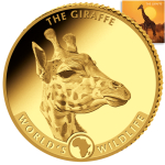 1/10 Oz Gold Kongo 2024 - Giraffe - Worlds Wildlife Serie...