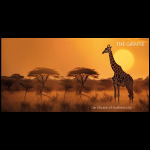 1/10 Oz Gold Kongo 2024 - Giraffe - Worlds Wildlife Serie - 20 Frs