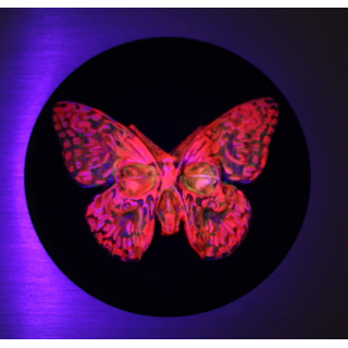 2 oz silber Gussbarren - SCHMETTERLING/Butterfly - UV-Effekt + GLOW-in-the-DARK - Handgegossener Barren - Handmade - EINZELSTÜCK