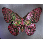 2 oz silber Gussbarren - SCHMETTERLING/Butterfly - UV-Effekt + GLOW-in-the-DARK - Handgegossener Barren - Handmade - EINZELSTÜCK