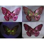 2 oz silber Gussbarren - SCHMETTERLING/Butterfly - UV-Effekt + GLOW-in-the-DARK - Handgegossener Barren - Handmade - EINZELSTÜCK