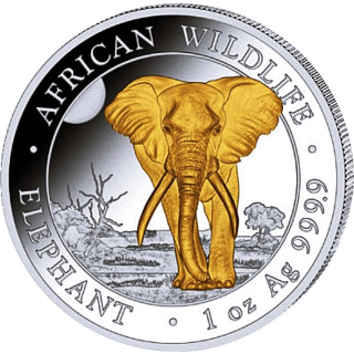 1 oz Somalia 2025 - Elefant - Gilded / Vergoldet - African Wildlife serie - Silber BU - 100 Shilling