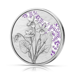 Österreich 10 Euro Silber Proof  - VEILCHEN - VIOLETS - 2024 - Mit der Sprache der Blumen