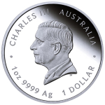 1 oz Australien 2025 Proof - SCHLANGE - JAHR der SCHLANGE - LUNAR Schlange - Silber 1 AU$ - Silberschlange