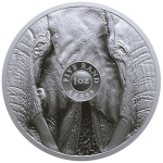 1 oz Südafrika 2024 - ELEFANT - Big Five Serie III - Silber Coin Card - 5 Rand