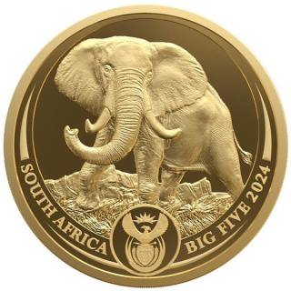 1 Unze Gold Südafrika 2024 Proof - ELEFANT - Big Five Serie III (1.)  - 50 Rand -Startmotiv