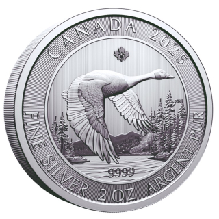 NEU* 2 oz Kanada 2025 BU - WILDGANS - GOOSE - Silber 10$  - Bullion Anlagemünze