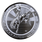 NEU** 1 oz USA Silber Round - TEXAS COWBOY Privy BUFFALO...