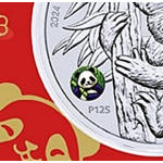 1 oz Australien KOALA 2024 Privy PANDA Coin Card - Silber - 1 AU$ - Perth Mint Koalaserie 2007 -20xx - Auflage 3,000