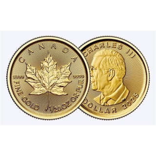 1/20 Unze Gold MAPLE LEAF 2025 -Kanada - BU 1 CA$ - GoldMaple