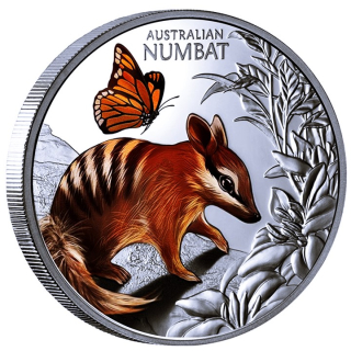 1 oz Niue 2025 Proof - BABY NUMBAT - Ameisenbeutler - Cute & Cuddly serie - Babytiere Australiens 2. Münze - Color 2 NZD