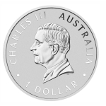 NEU * 1 oz WEDGE TAILED EAGLE Keilschwanzadler 2025 BU - Australien Perth Mint - silber 1 AU$ - Serie WT Eagle Ausgabe 11