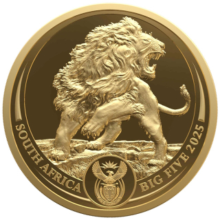 1 Unze Gold Südafrika 2025 Proof - Löwe - Big Five Serie III (2.)  - 50 Rand