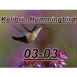 1 oz Niue 2025 Proof - KOLIBRI HUMMINGBIRD - Neue Serie Beauty Joy & Love Motiv 1 - silber 1 $