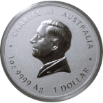 LETZTE** 1 oz Australien 2025 BU COLOR - SCHLANGE - JAHR der SCHLANGE - LUNAR Schlange -  1 AU$ - Silberschlange