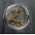 ab Lager* 2 oz Germania Beasts 2025 EDITION - GULLINBURSTI - Ultra High Relief Ruthenium Gilded - UV-Effekt- Das Goldene Wildschwein des Gottes Freyr