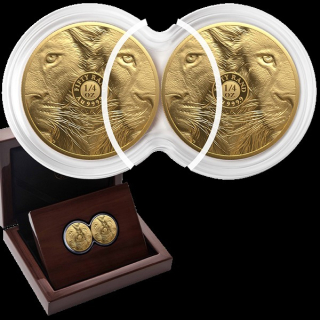 1/2 Unze Goldsatz Big Five Serie III (2.) - Löwe- Doppel-Kapsel-Satz - Südafrika 2025 Proof