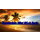 NEU*  1 oz Montserrat 2024 Proof Color - SEESTERN STARFISH - EC8 Serie Karibikmotive- 2 $