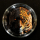 3 oz Palau 2023 Black Proof Obsidian - JAGUAR TAG & NACHT - DAY & NIGHT - Ultra High Relief 20$