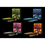 NEU* 4 x 1 oz Silber Germania 2025 COLOR - YGGDRASIL BAUM...