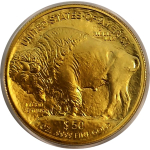 AURINUM*TOP*ANGEBOT** 1 oz GOLD USA 2010 Proof - American...