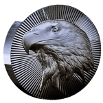 NEU* 2 oz USA 2025 BU Silber Stacker - EAGLE / ADLER -...