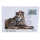28,3 g Kupfer Cook Islands - Asiatischer LÖWE - Asian LION - mit 1,15 $ Rarotonga Briefmarke Coin Card - Endangered Wildlife  - ECHTBILDER