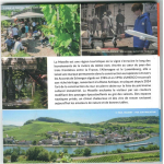 Luxemburg Kursmünzensatz Mosel 2025 Stgl. Großherzog Henri -- Münzzeichen (Rabe)
