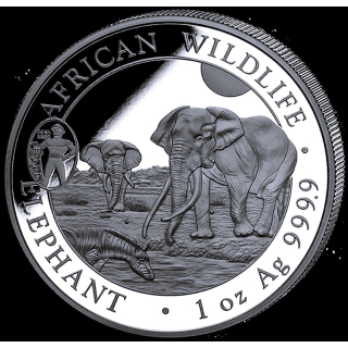 NEU* 1 oz Somalia Elefant 2025 MOTIV 2026 - Privy ANA Oklahoma City - Serie African Wildlife - ELEFANTENMOTIV 2026 - Box + Zertifikat