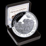 NEU* 1 oz Somalia Elefant 2025 MOTIV 2026 - Privy ANA...