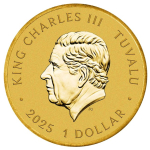 13,5 g Basismetall Tuvalu 2025 Color Coin Card - TEENAGE MUTANT NINJA TURTLE - Kupfer-Nickel  - 1 $