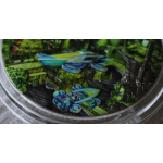 ab Lager*** 2 oz Niue 2024 - SOLARPUNK - 3-D Glow-in-the-Dark "Serie Punk Universe" Harmonie mit der Natur - Silber High Relief Antique Finish 5$