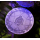 2 oz Niue 2024 - SOLARPUNK - 3-D Glow-in-the-Dark "Serie Punk Universe" Harmonie mit der Natur - Silber High Relief Antique Finish 5$