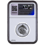 NEU* 1 oz USA 2025 NGC PF-70 - LIBERTY AMERICAN EAGLE MEDAL - Silber Ultra Cameo 1st Day - US Mint Programm