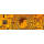 NEU ** Goldfolie - TRUMP - BITCOIN - 24-Karat Vergoldung - Polycarbonat - 1 virtuelle Bitcoin - 24K Note Bill