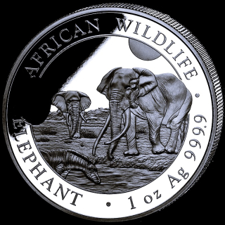 NEU* 1 oz Somalia Elefant 2026 BU - African Wildlife - Silber ELEFANTENMOTIV 2026