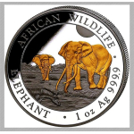 NEU* 1 oz Somalia Elefant 2026 GILDED - African Wildlife - Silber ELEFANTENMOTIV 2026