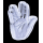 1 oz Niue 2025 Proof - Star TREK - Mr. SPOCK Der VULKAN-GRUSS / The Vulcan Salute -  silber 2 NZ$ - NZ Mint Agoro