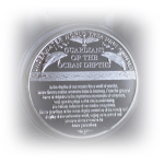 24,1 g Bimetall Color Proof - DELFIN / DOLPHIN - Guardian of the Ocean Depth