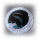 24,1 g Bimetall Color Proof - DELFIN / DOLPHIN - Guardian of the Ocean Depth