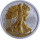 Neu* 1 oz USA 2009 Gilded Sternenstaub Edition- LIBERTY AMERICAN EAGLE - Stardust Edition