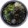 NEU * 1 oz Tokelau 2024 Color - TERRA / EARTH - Grünland vs Betonstädte / Greenland vs concrete cities  - 3-Dimensionale Colorierung - Silber Prooflike 5 NZ$