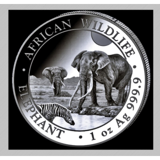 NEU* 1 oz Somalia Elefant 2026 BU - African Wildlife - Silber ELEFANTENMOTIV 2026 - 100 Shilling