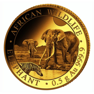 0.5 g Gold Somalia 2026 Proof - ELEFANT / ELEPHANT - African Wildlife - 20 Shillings - Elefantenmotiv 2026