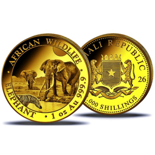 1 oz Gold Somalia 2026 ELEFANT / ELEPHANT - African Wildlife -  1000 Shillings - Elefantenmotiv 2026