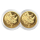 2 x 1/2 oz Gold Südafrika Big Five NASHORN / RHINO  2025 Proof South Africa - Silber Doppel-Kapsel