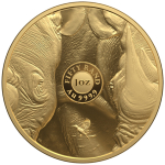 Neu * 2 x 1 Unze Gold Big Five Serie III NASHORN / RHINO und Krügerrand mit Privy Nashorn Südafrika 2025 Proof