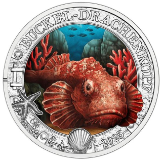 Österreich 3 Euro 2025 HGH - Buckel-Drachenkopf - Leuchtende Meereswelten - GLOW-in-the-DARK - Nachtleuchtend